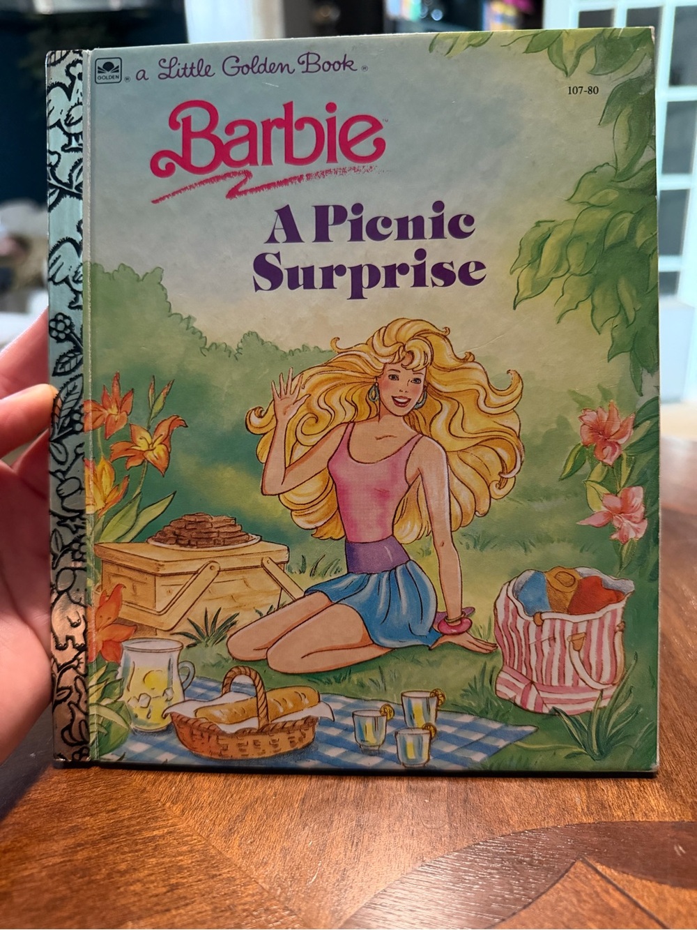 Barbie Picnic Adventure Cover - Pink, Blue & Green Artwork